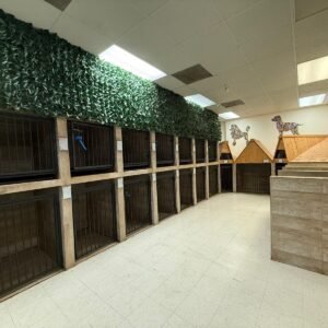 DOG HOTEL