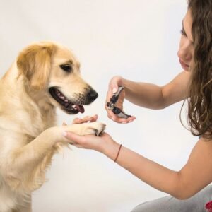DOG NAIL CLIPPING
