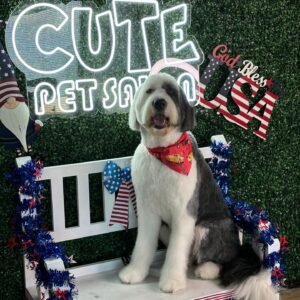 BASIC GROOMING & BATH PACKAGE EXTRA LARGE DOG